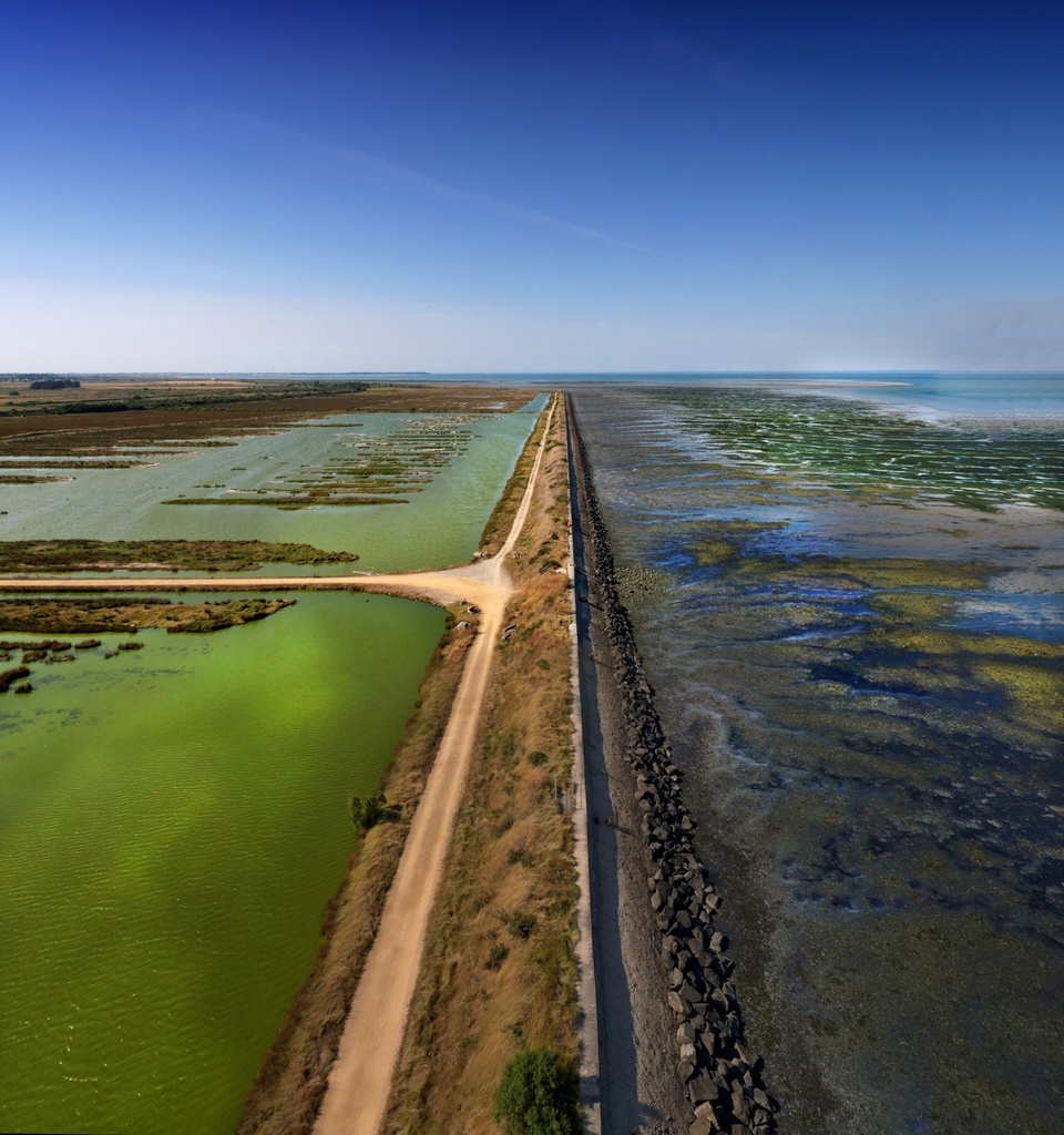 Polder