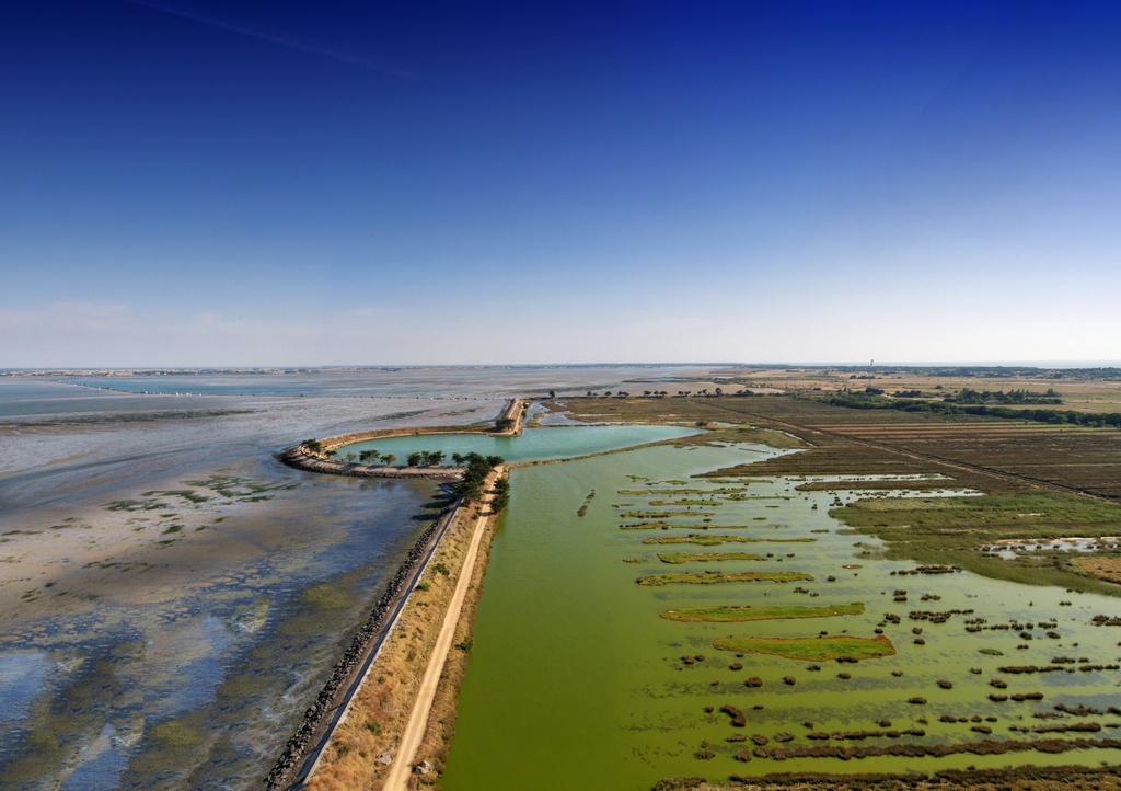 Panorama Polder