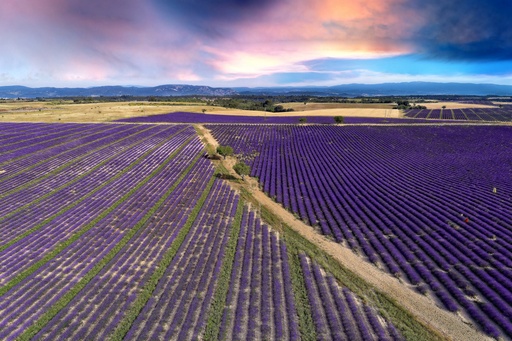 Valensole