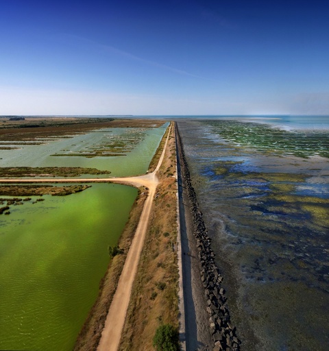 Polder