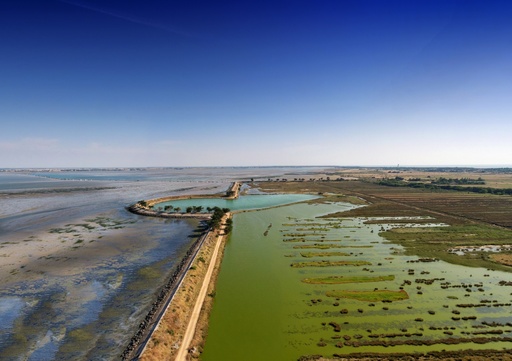 Panorama Polder