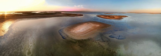 Panorama Camargue